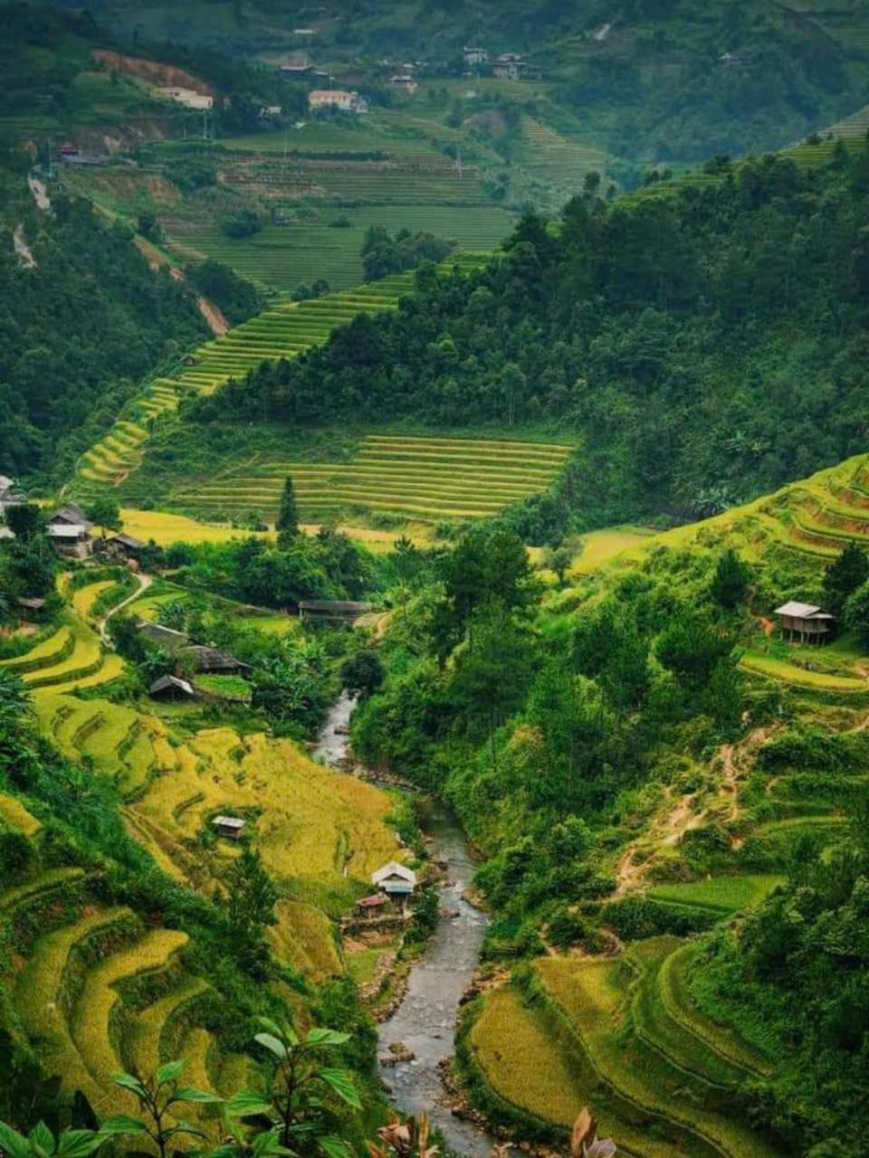 Mu Cang Chai Eco Home Ngoại thất bức ảnh